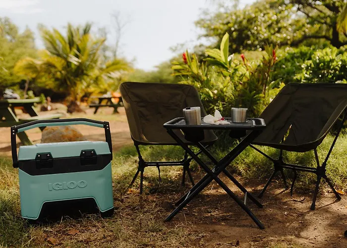 Epic Maui Car Camping